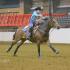MSQHA Barrel Racing